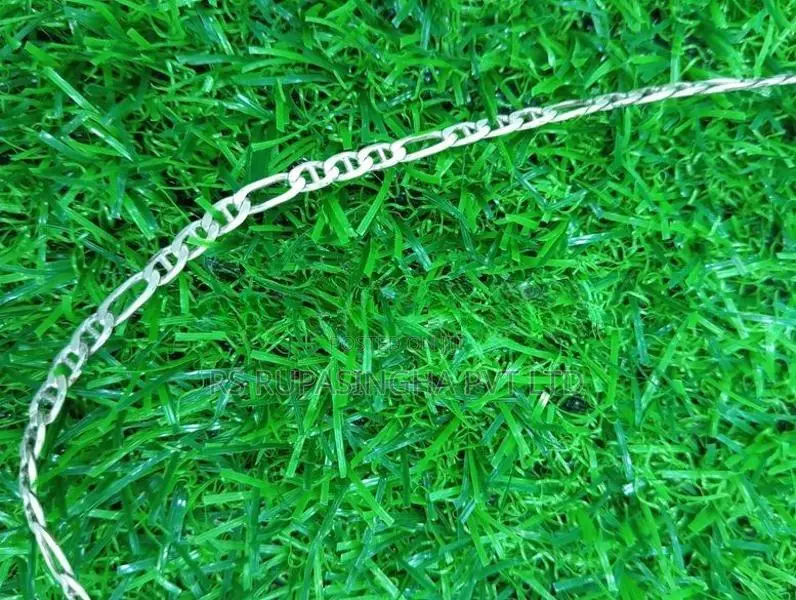 Silver Chain