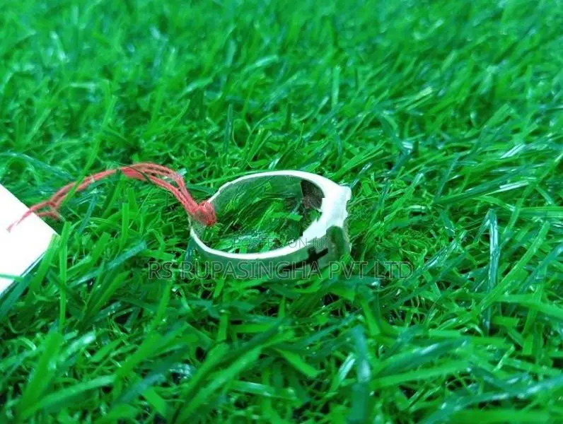 Silver Ring
