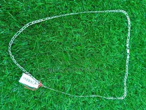 Silver Chain