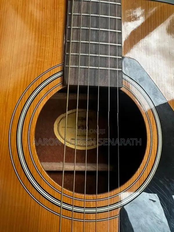 Guitar