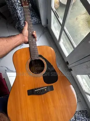Guitar