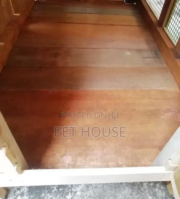 Cat Cage - Medium