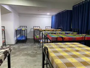 Bunker Beds