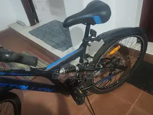 Stallion Knight Mountain Bicycle