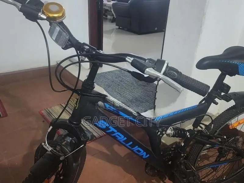 Stallion Knight Mountain Bicycle
