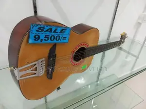 Samick Box Guitar