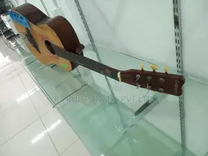 Samick Box Guitar