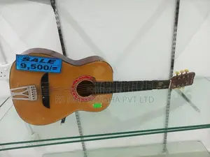 Samick Box Guitar