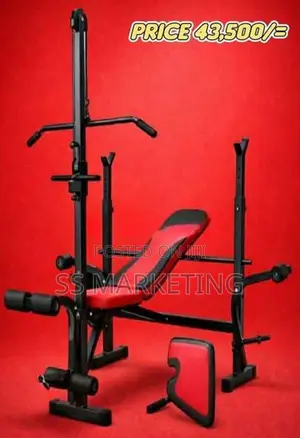 Brand New Bench Dumbbell Weight Plates Set