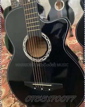 Brand new box Guitar ( Bag , Pick Belt Alenkey Holder free)