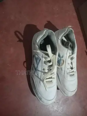 Cricket Shoes