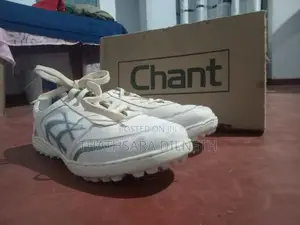 Cricket Shoes