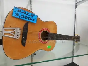Samick Box Guitar