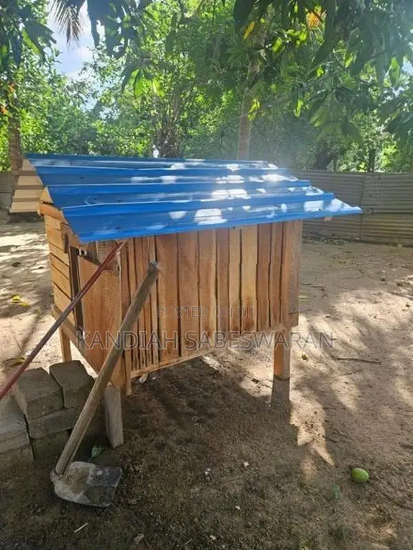 Chicken Cage