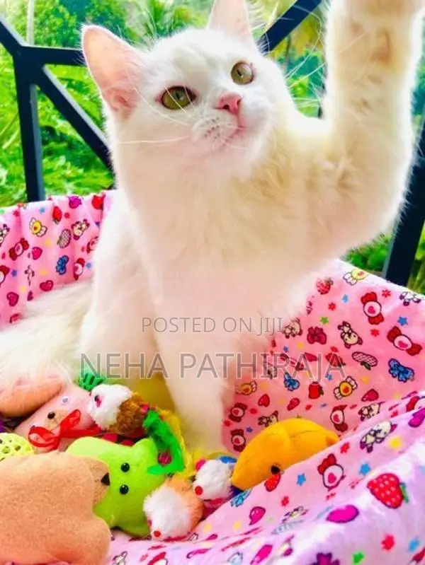 Persian