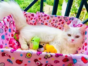 Persian