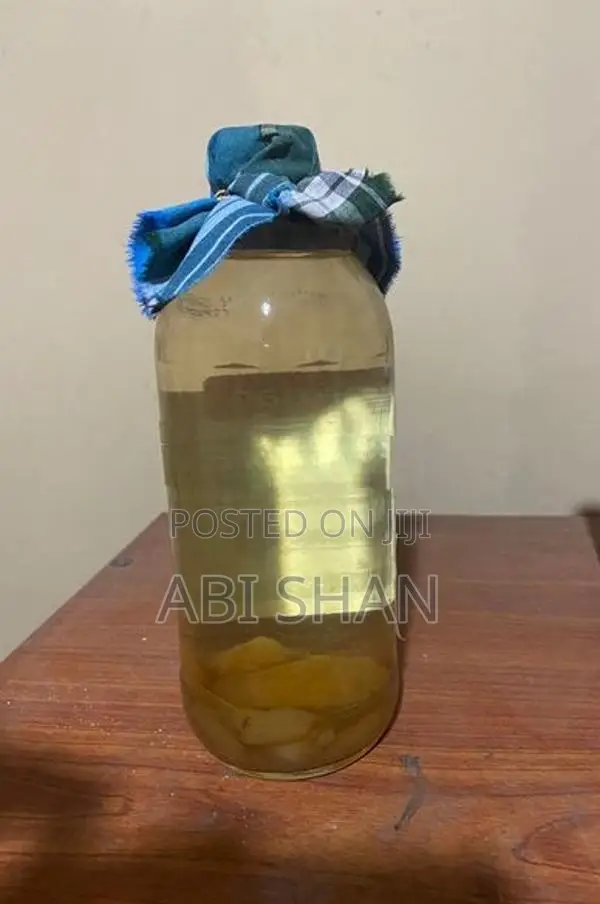Vinegar eel fish live food