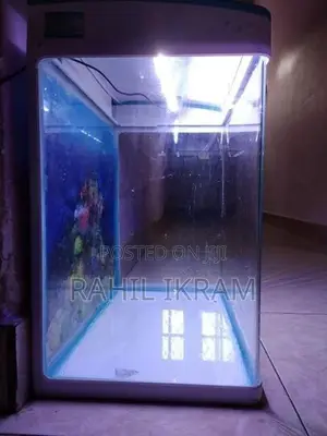 Fish Tank