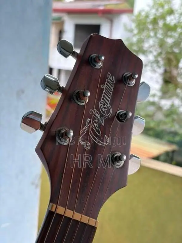 takamine D series Guitar with bag