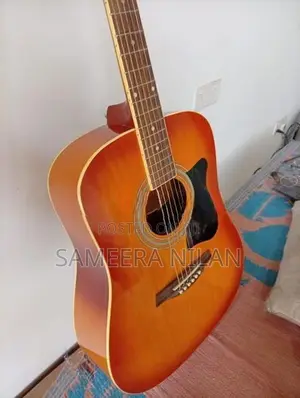 ibanez box guitar