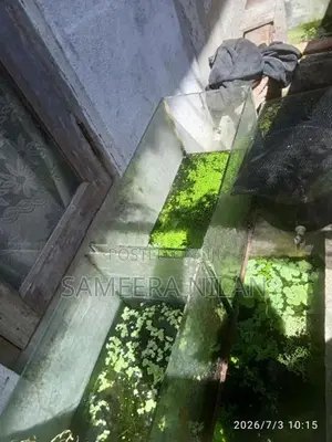 මාලු ටැංකි
