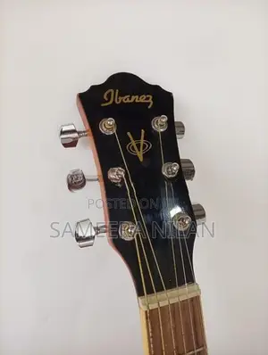 ibanez box guitar