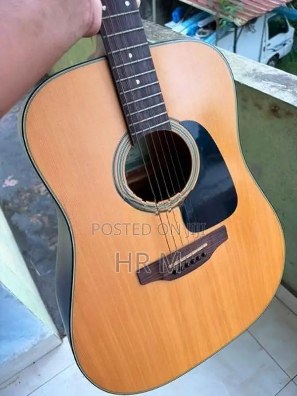 takamine D series Guitar with bag