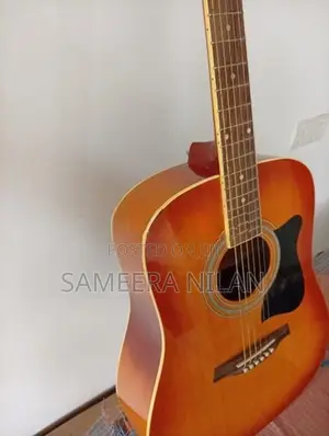 ibanez box guitar