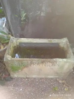 මාලු ටැංකි