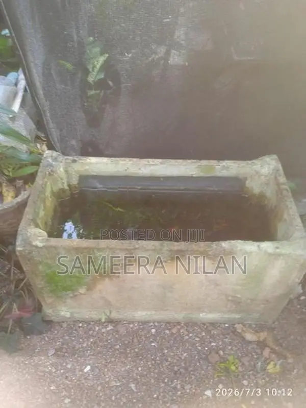 මාලු ටැංකි