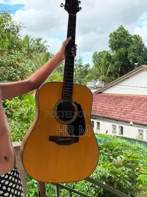 takamine D series Guitar with bag