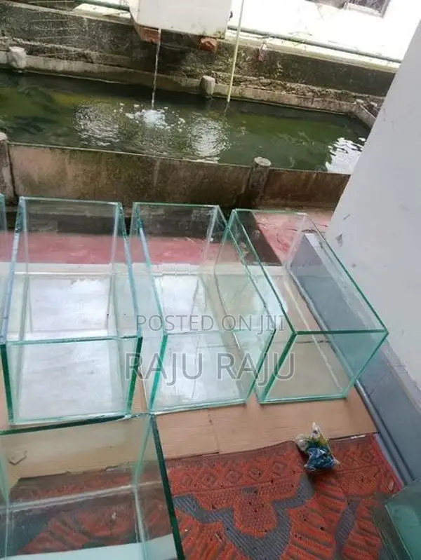 New Fish Tanks