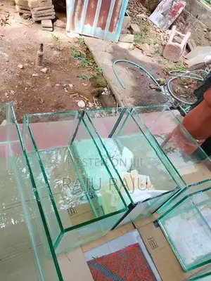 New Fish Tanks