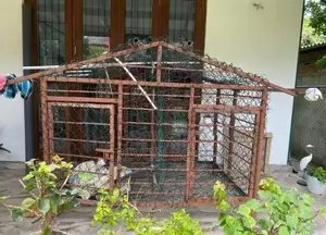 Dog Cage
