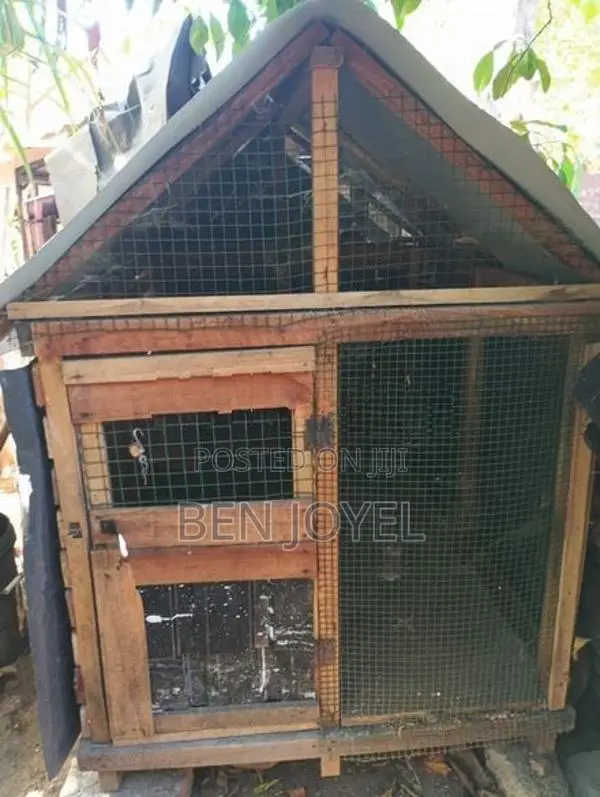 Bird Cage