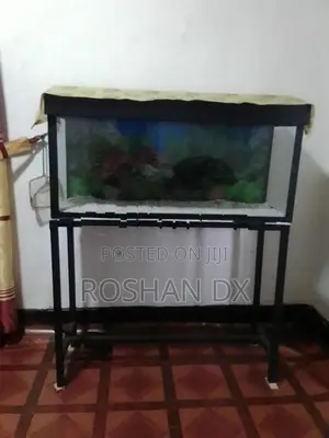 Fish Tank with Stand