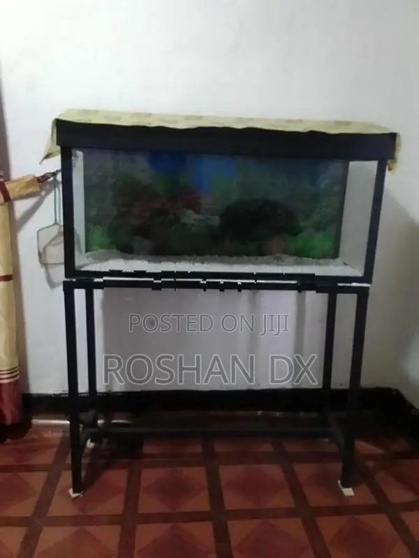 Fish Tank with Stand