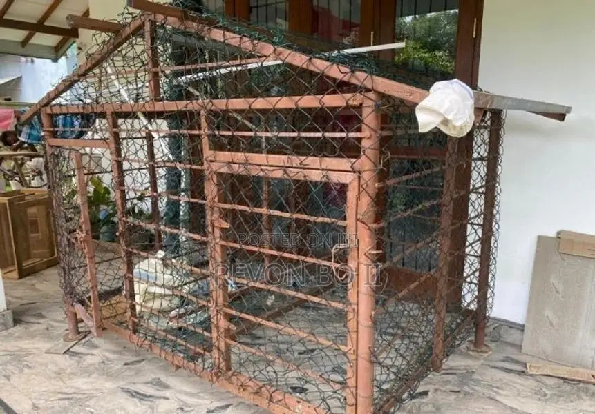 Dog Cage