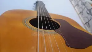 Semi Acoustic Guitar