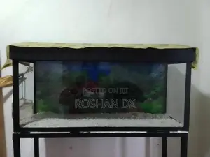 Fish Tank with Stand