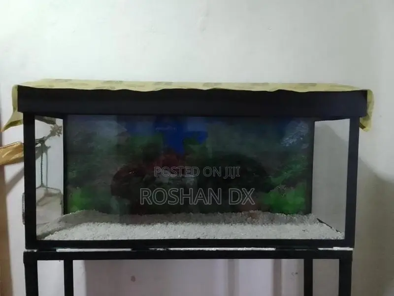 Fish Tank with Stand