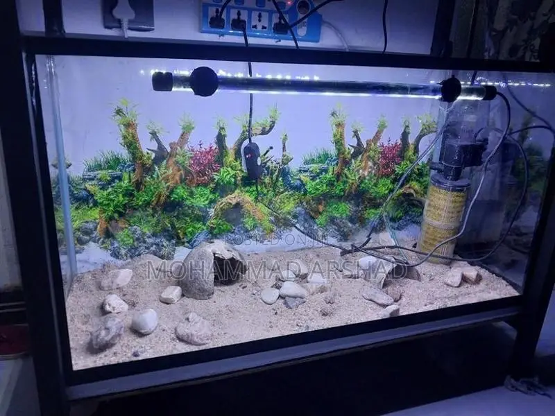 2.5 Ft Fish Tank Set