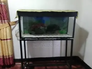 Fish Tank with Stand