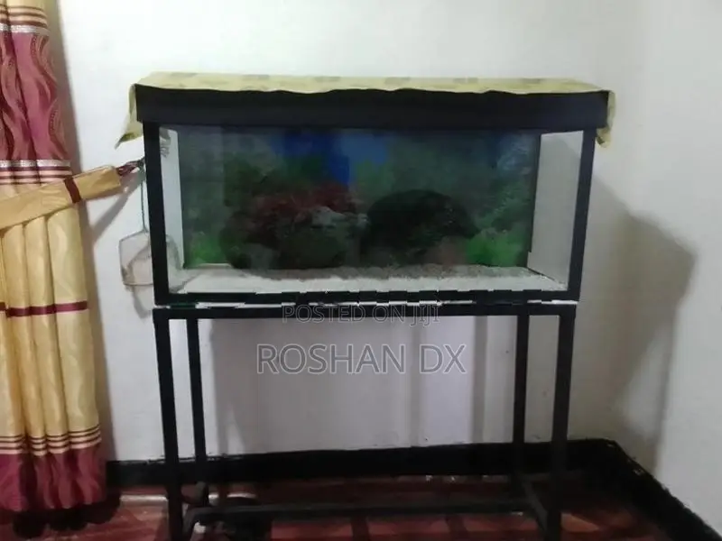 Fish Tank with Stand