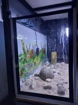 2.5 Ft Fish Tank Set