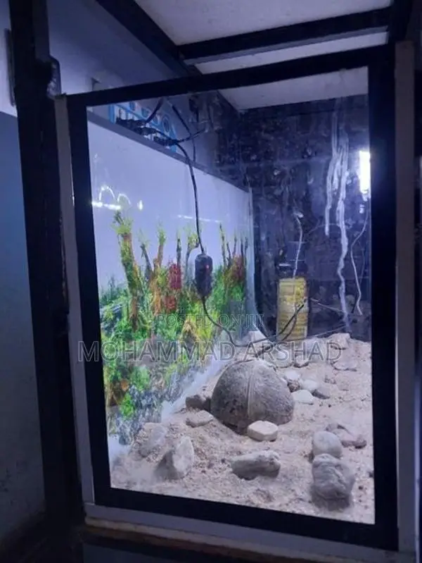 2.5 Ft Fish Tank Set