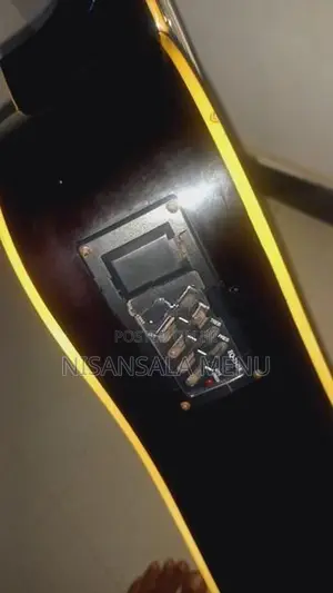 Semi Acoustic Guitar