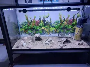 2.5 Ft Fish Tank Set