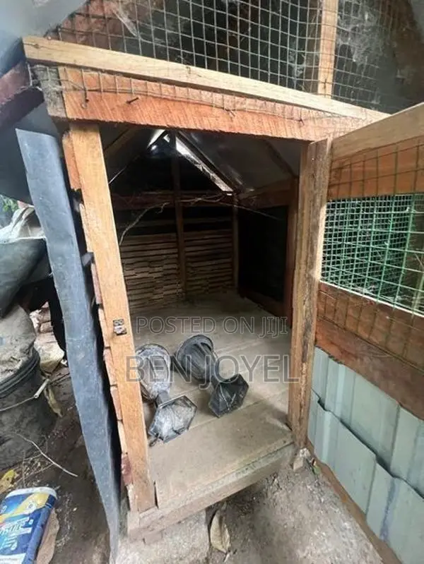 Bird Cage