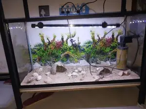 2.5 Ft Fish Tank Set
